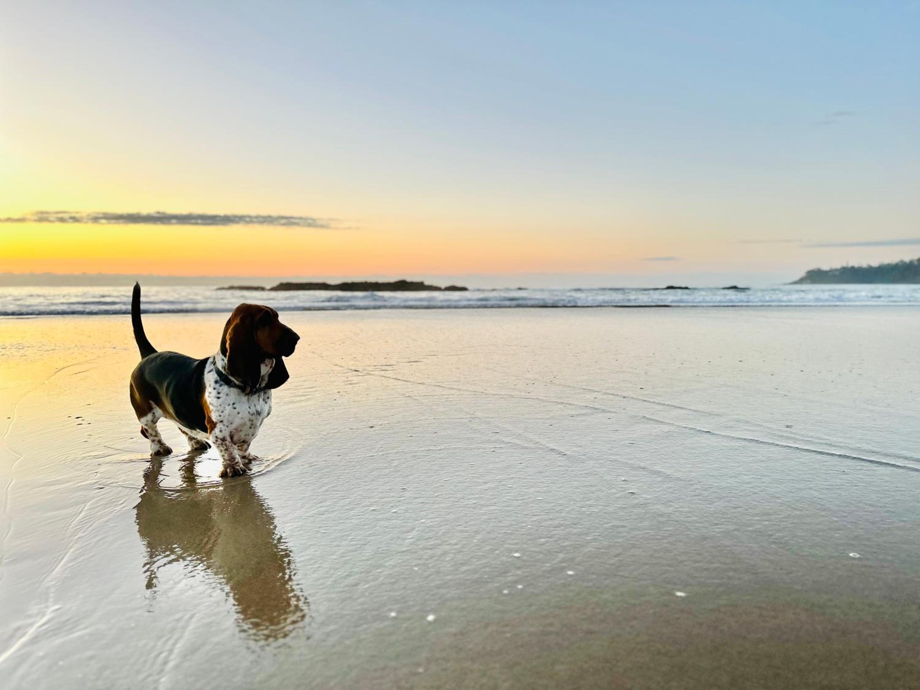 Walk to beach, quiet location - 2 night minimum stay
