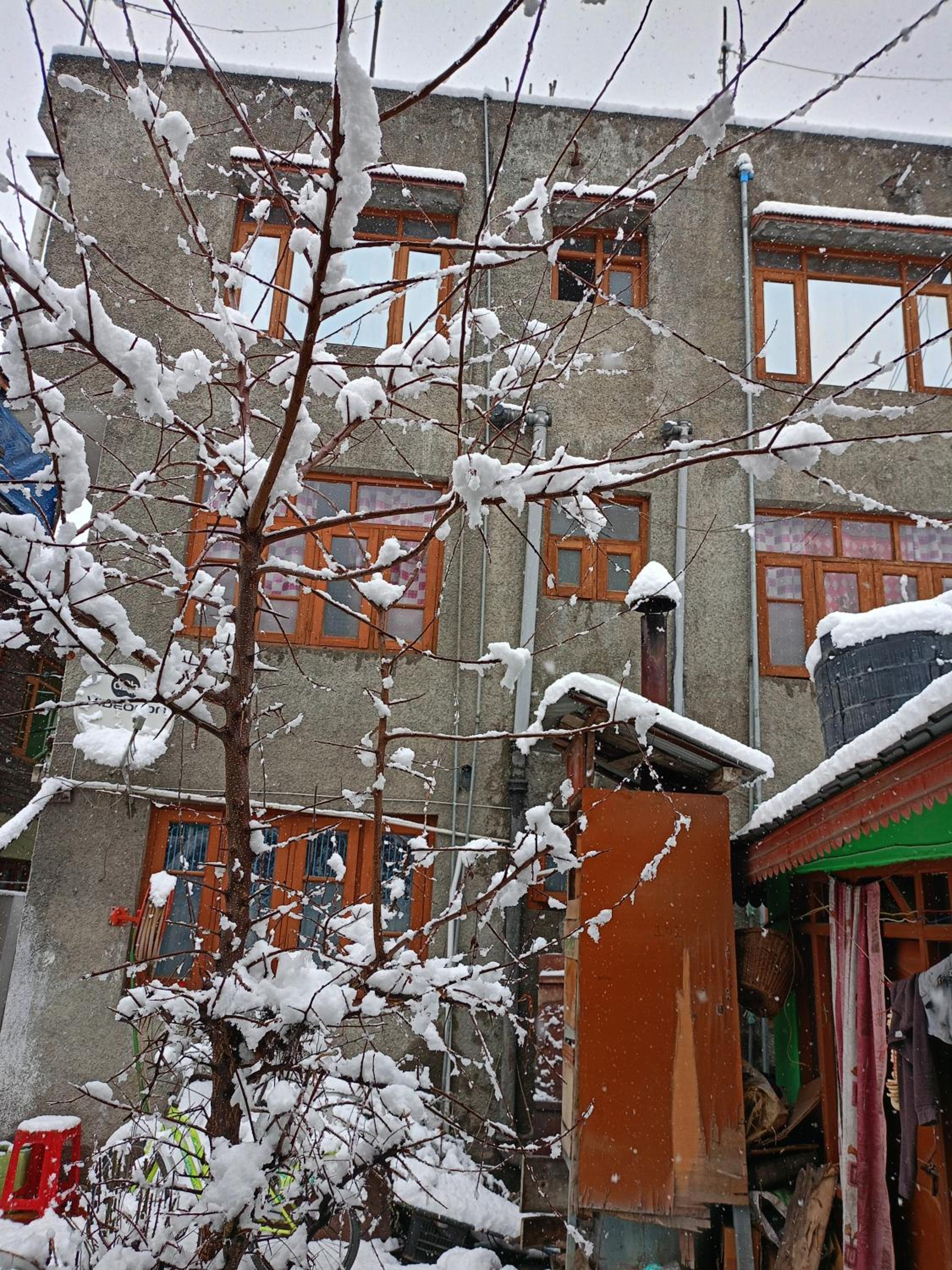 Photo 15