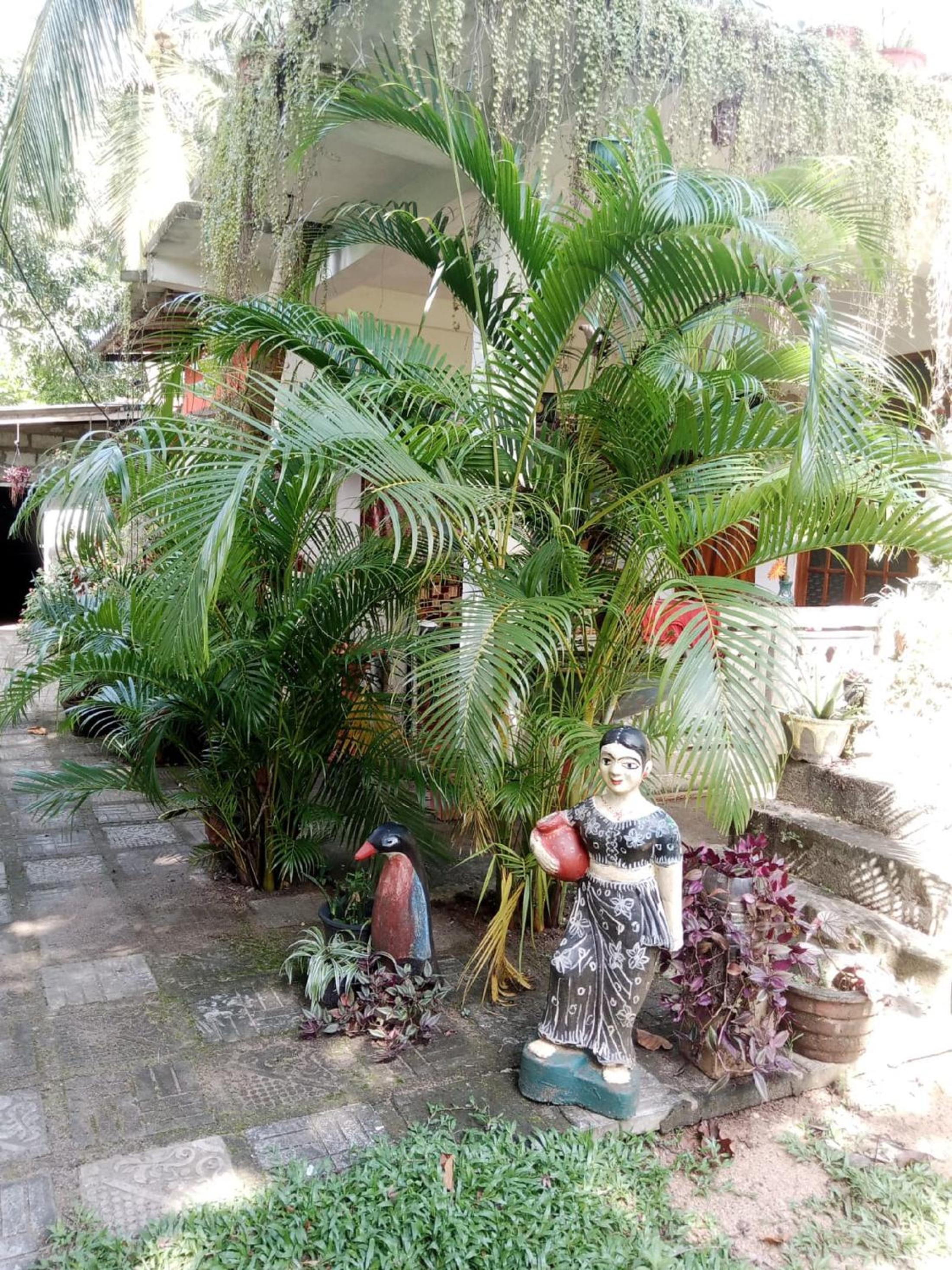 Photo 28