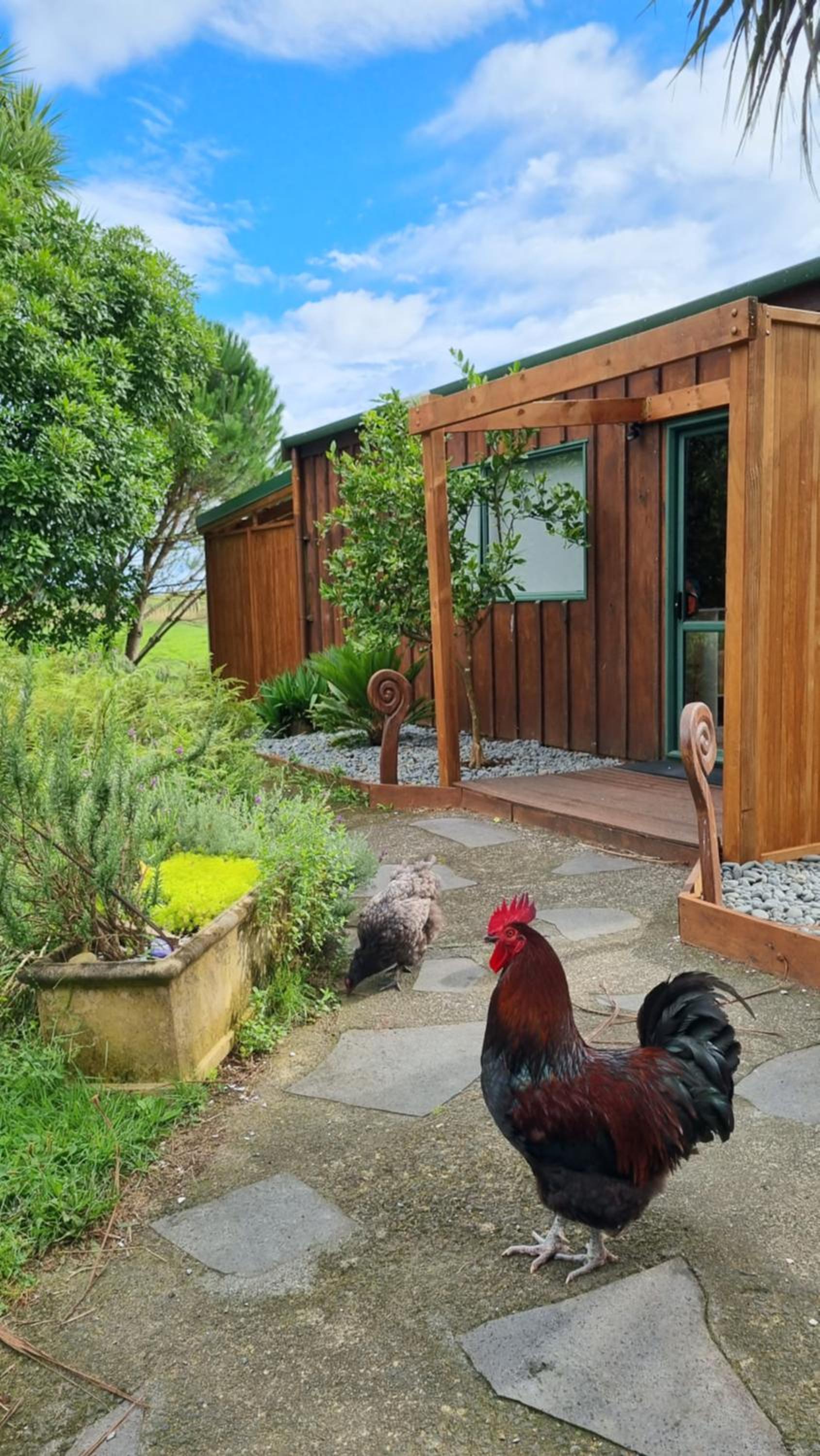 Kereru Cottage , rural B&B, Tauranga