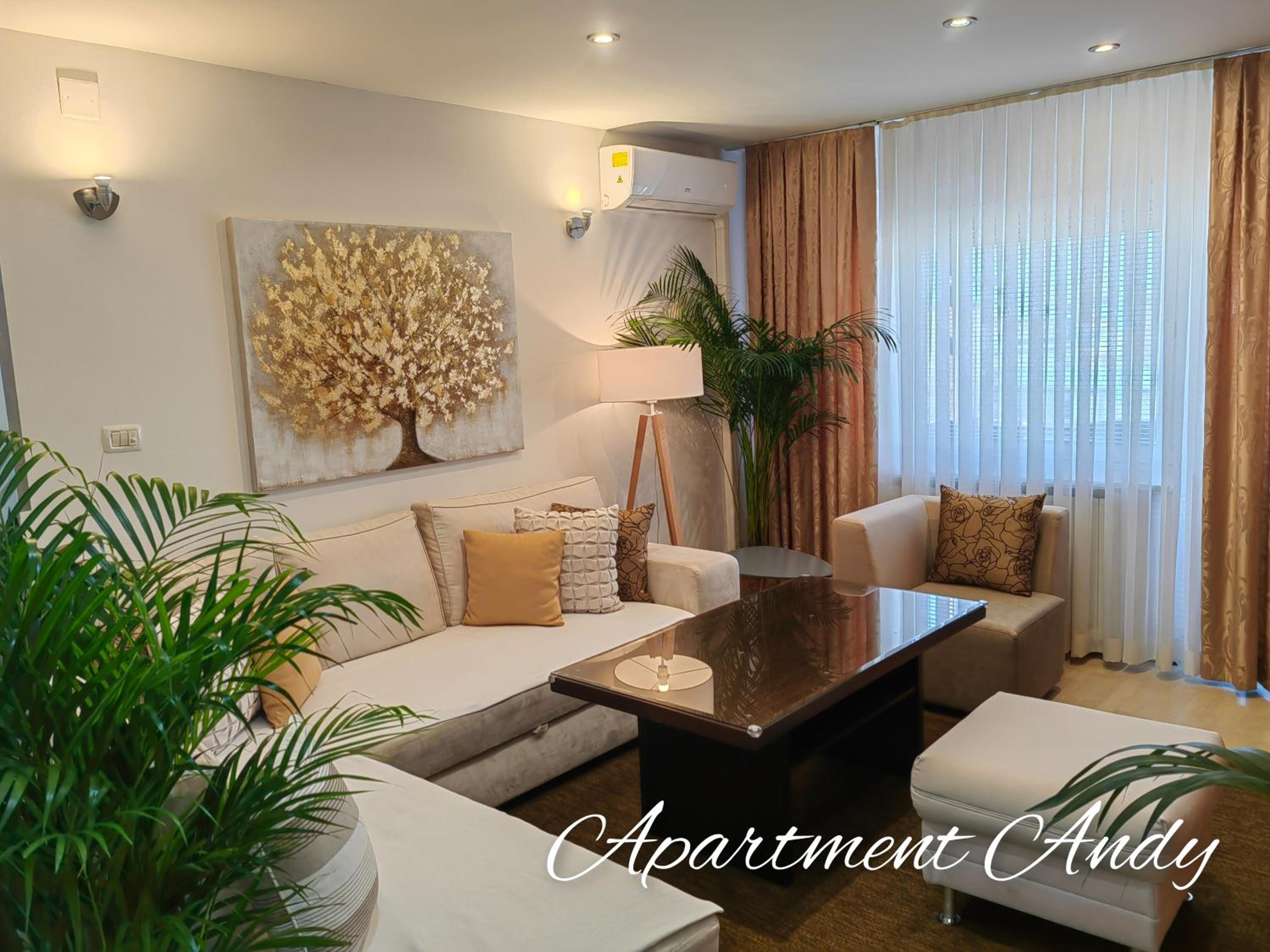 Apartment Andy