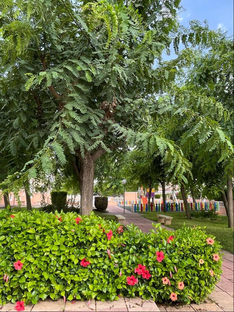 Gran Alicante Bungalow in Beach Resort