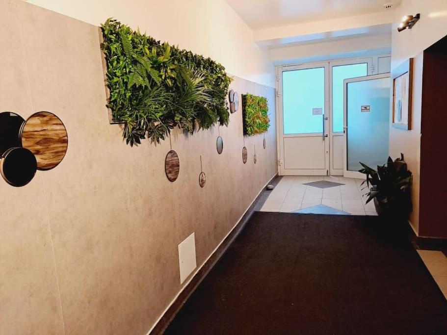 Comfort Living Apartments - Buchengasse