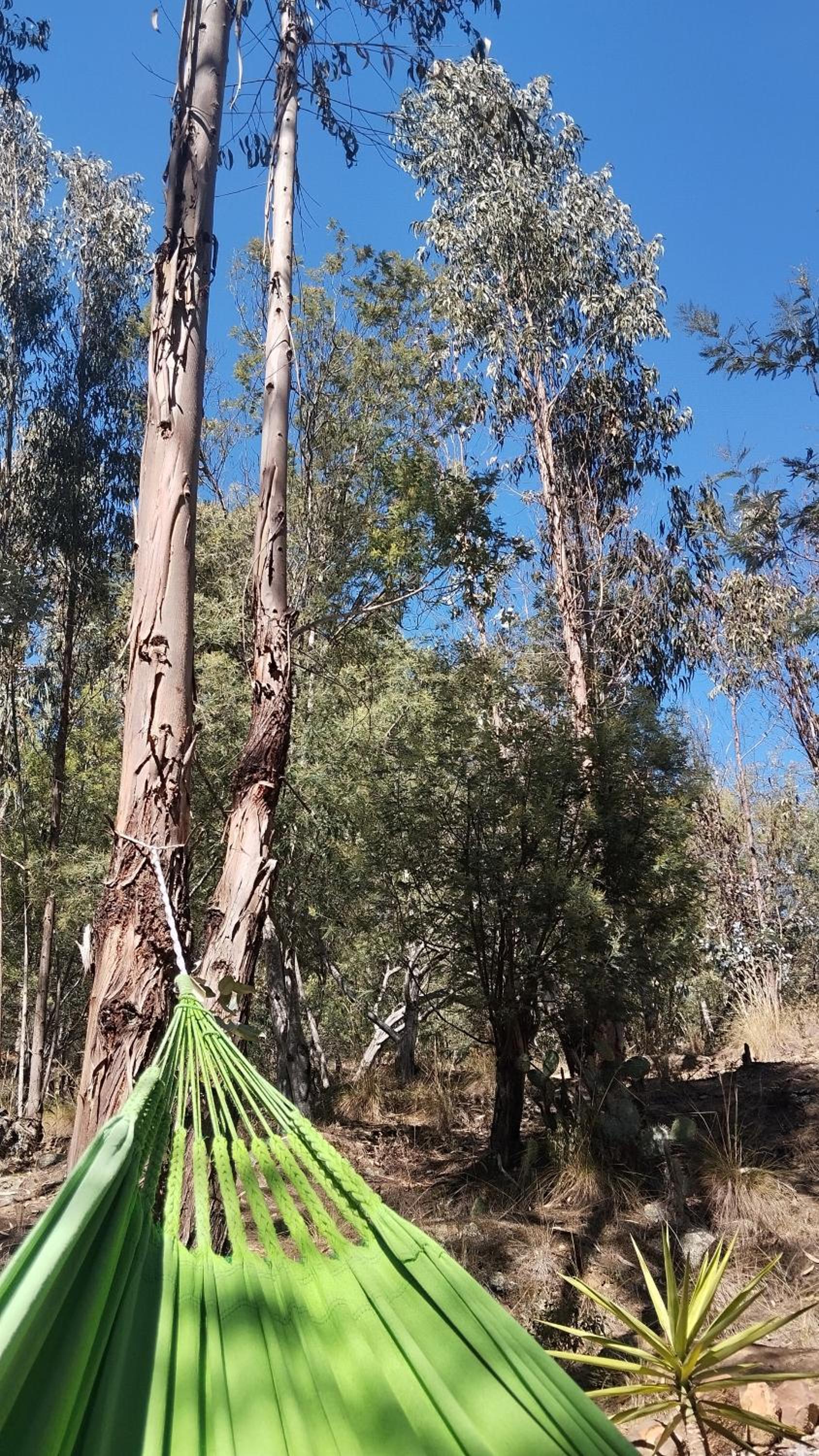 CABAÑA MÁGICA CUCUNUBA