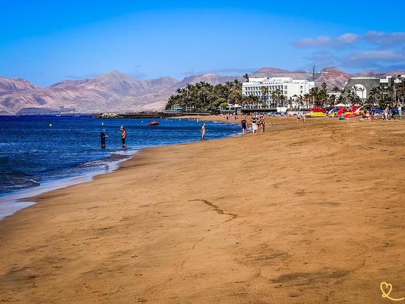 APARTAMENTO LANZA PALM