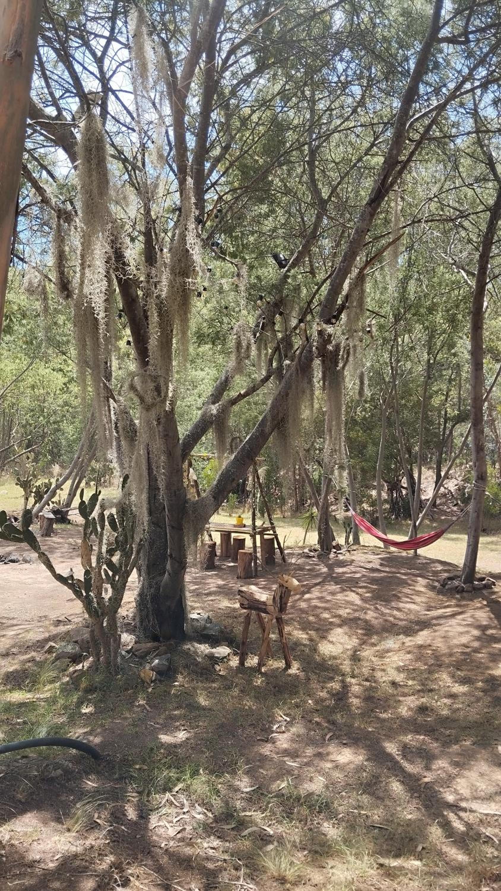 CABAÑA MÁGICA CUCUNUBA
