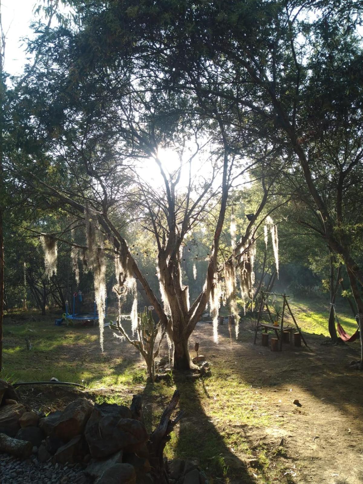CABAÑA MÁGICA CUCUNUBA