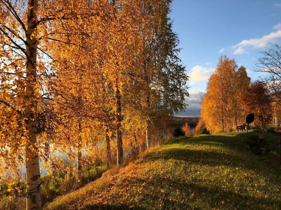 Studio by the river Ivalo view 3