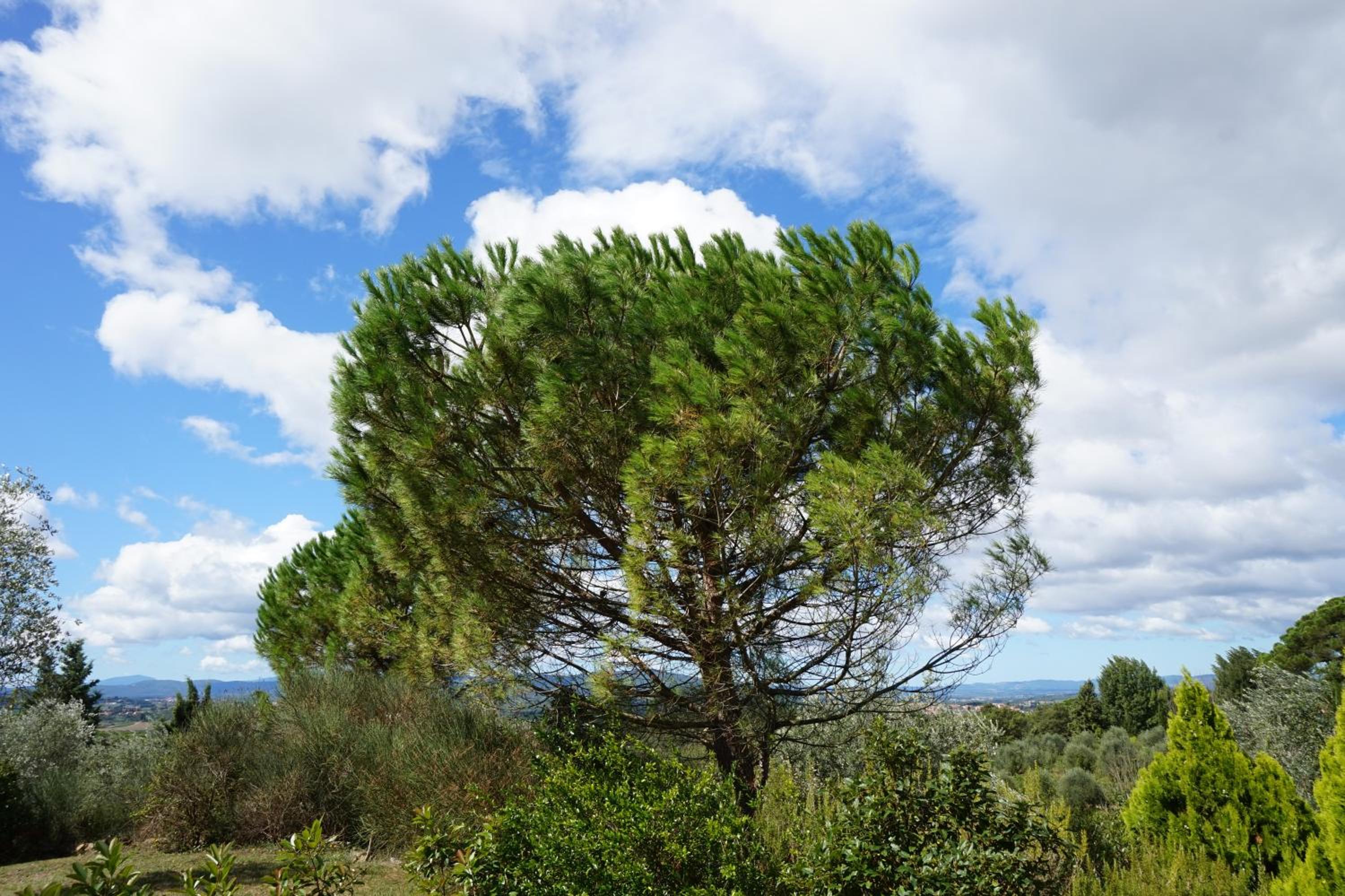 Casa Lucia in Chianti