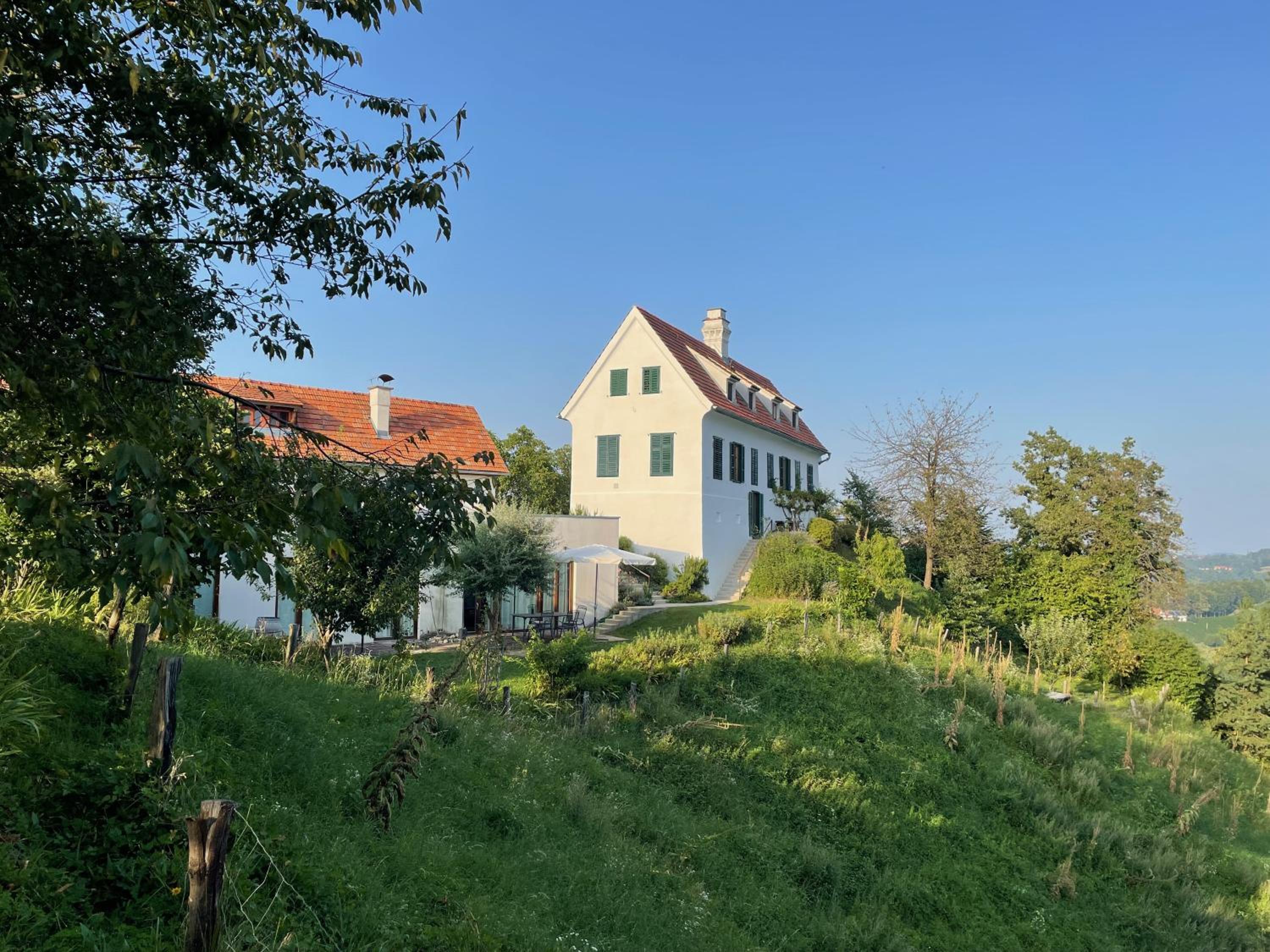Bio-Weingut Leitner