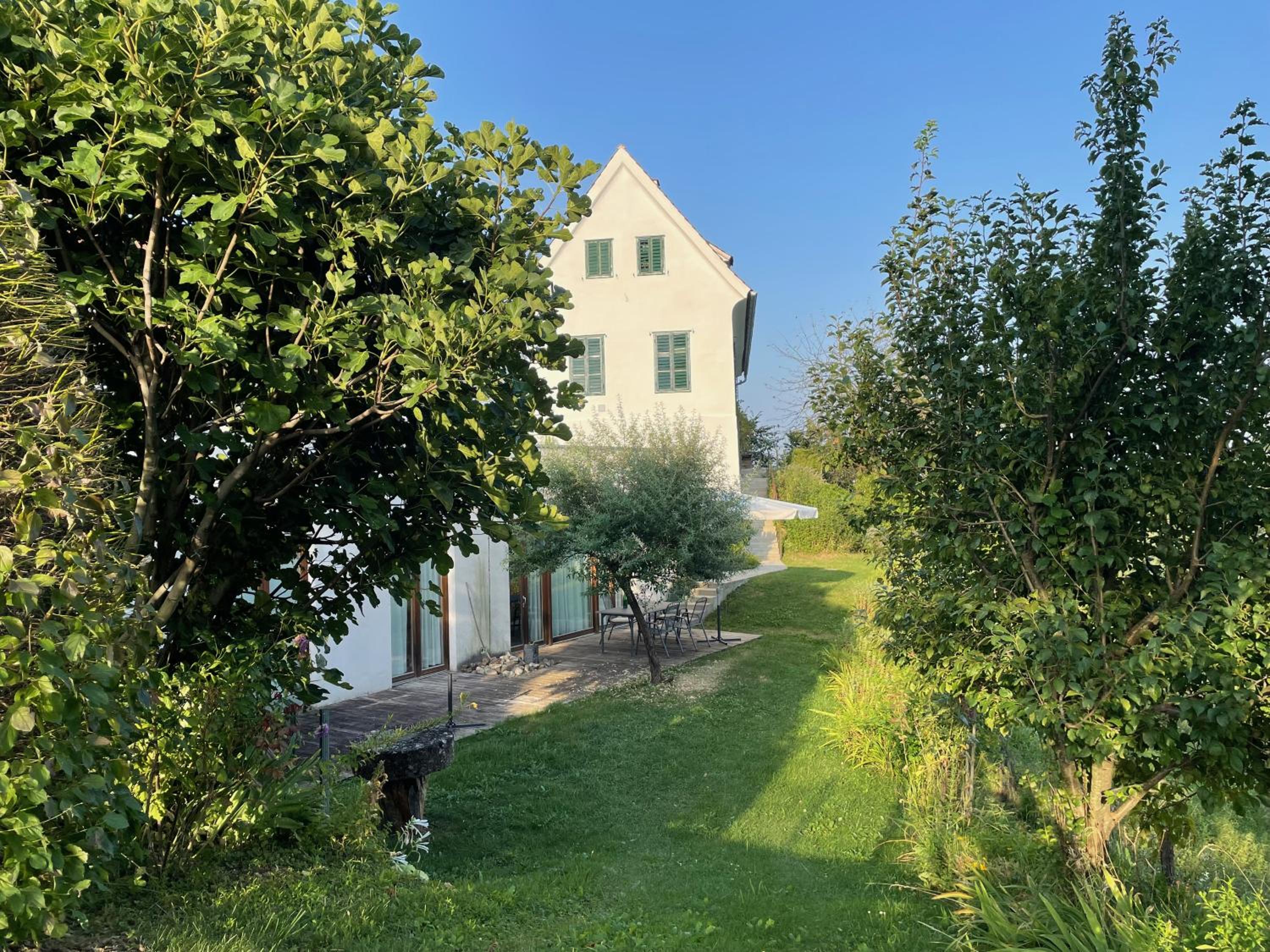 Bio-Weingut Leitner