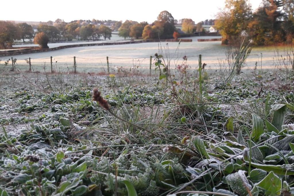 WalHOME: Hohes Venn, 3 Grenzen, Natur
