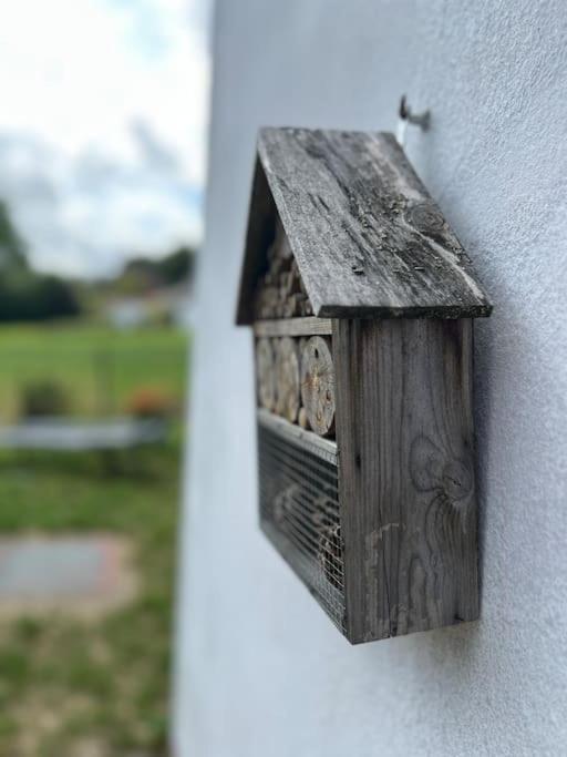 WalHOME: Hohes Venn, 3 Grenzen, Natur