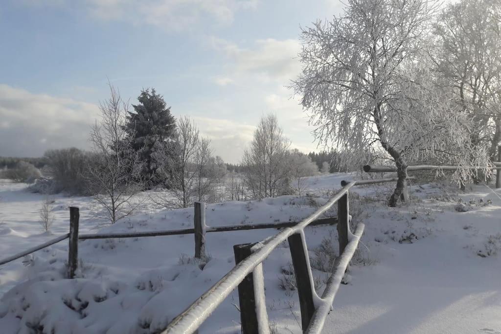 WalHOME: Hohes Venn, 3 Grenzen, Natur