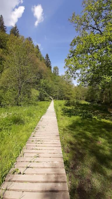 WalHOME: Hohes Venn, 3 Grenzen, Natur