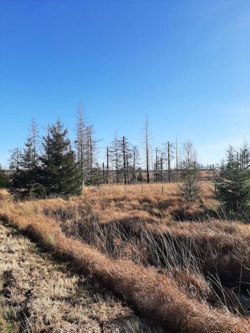 WalHOME: Hohes Venn, 3 Grenzen, Natur