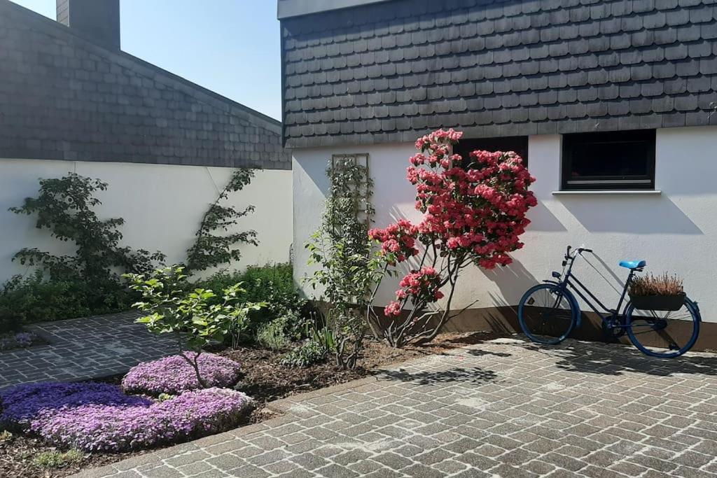WalHOME: Hohes Venn, 3 Grenzen, Natur
