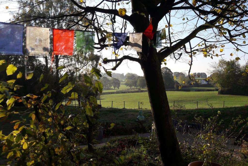 WalHOME: Hohes Venn, 3 Grenzen, Natur