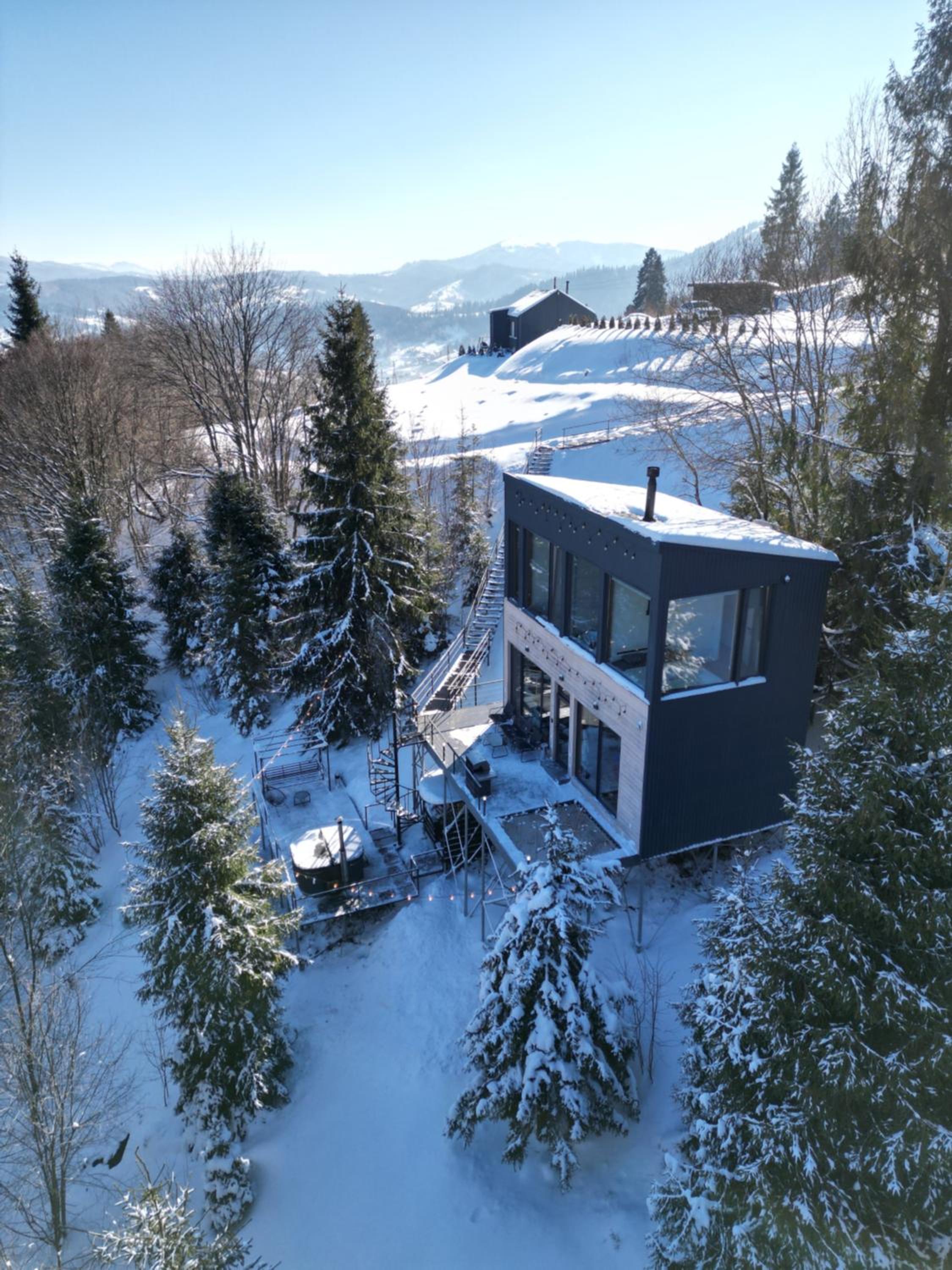 Forest Hub