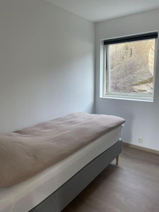 Eksklusiv Rorbu - Havblikk 1 - Båtutleie view 4