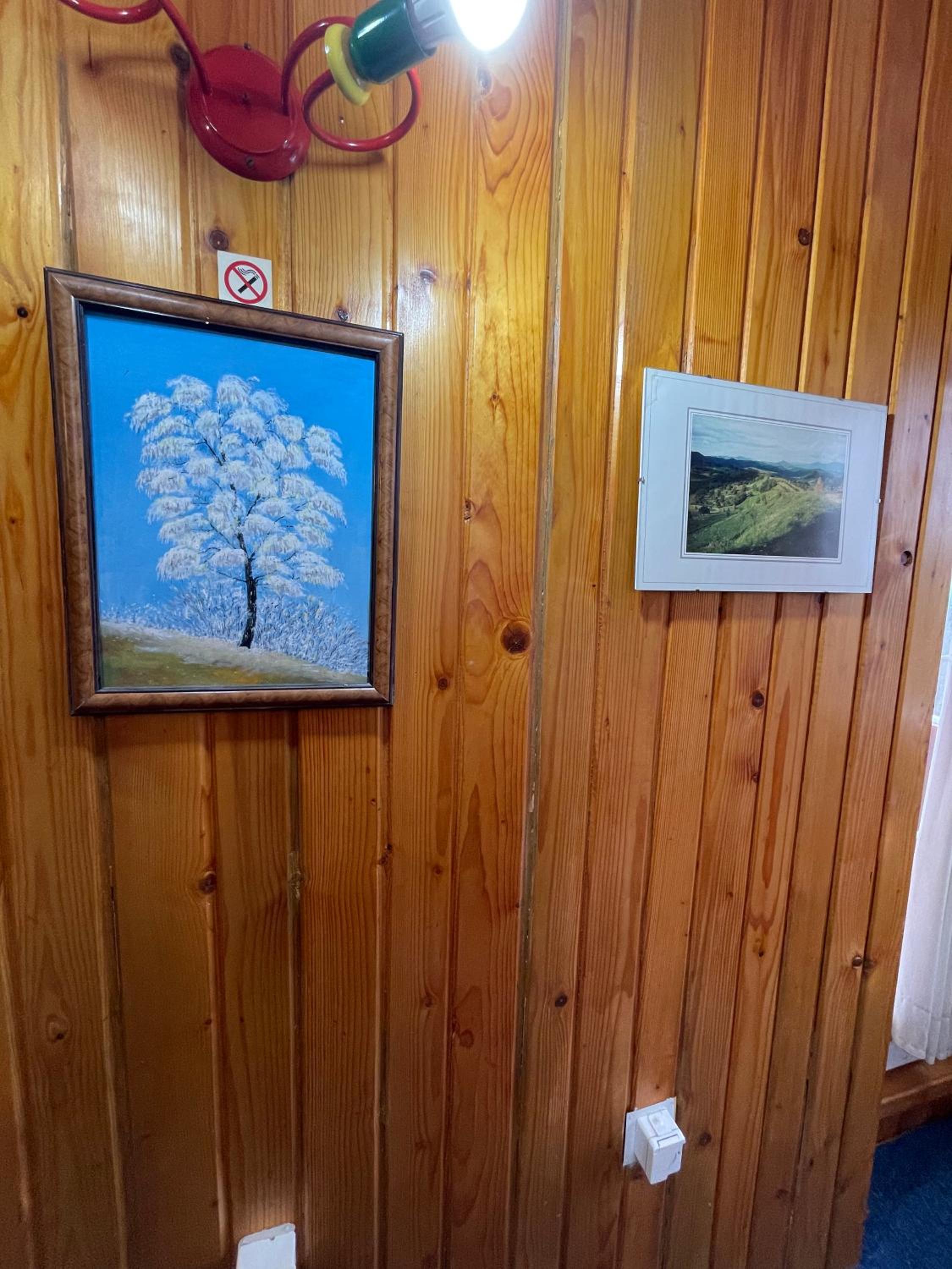 Photo 171