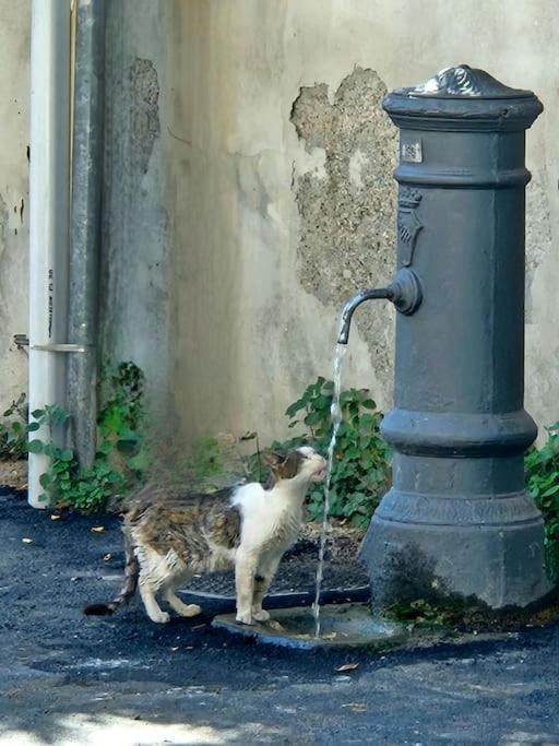 La finestra sul Nasone