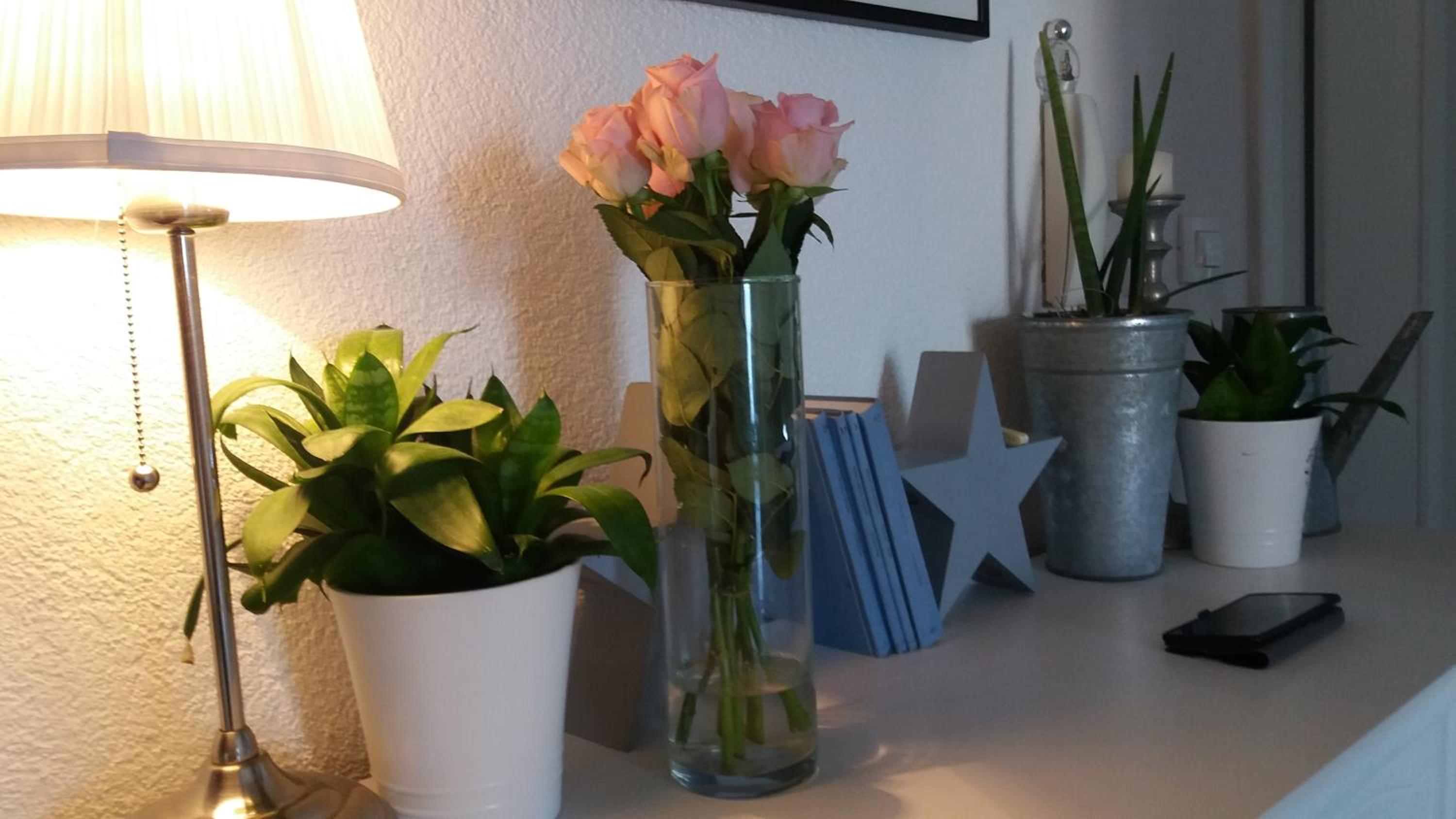 Apartmani Ćuba