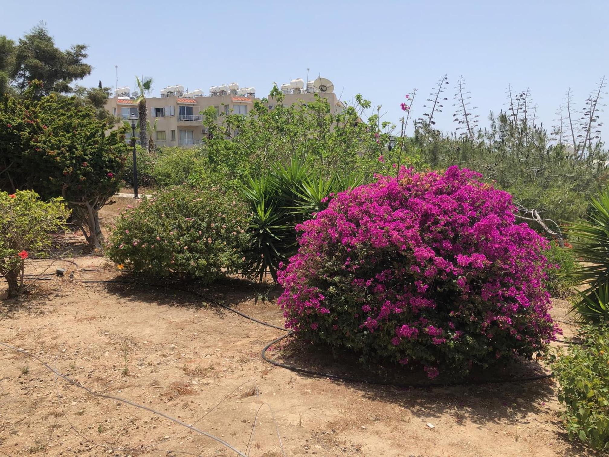 Kings Palace - Modern, sunny 2 bed ground floor with sea views