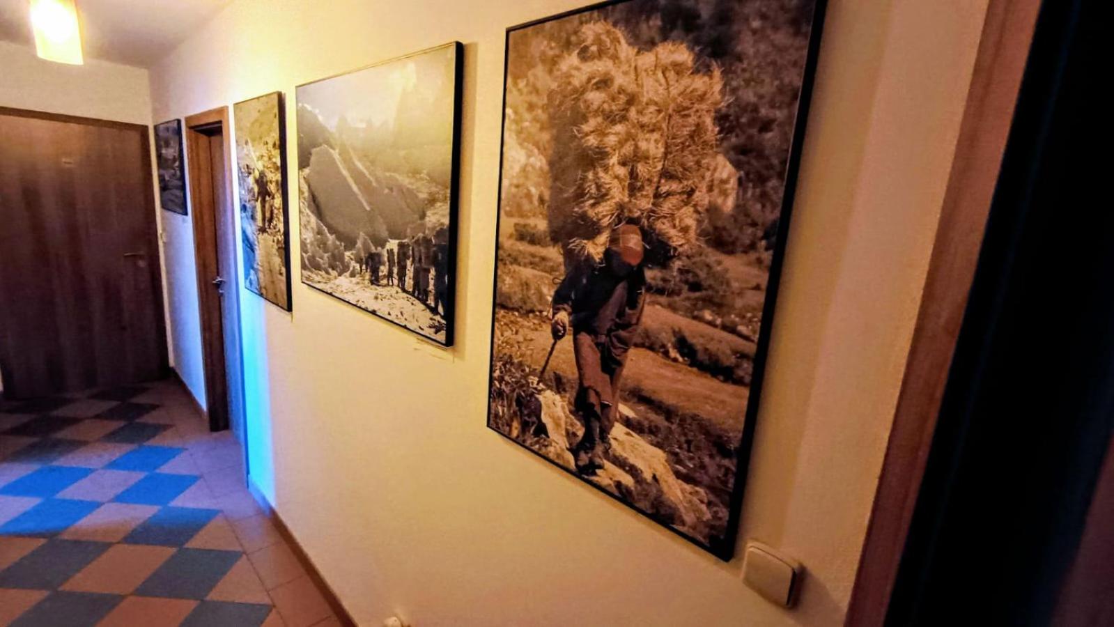 Guest House Sherpa