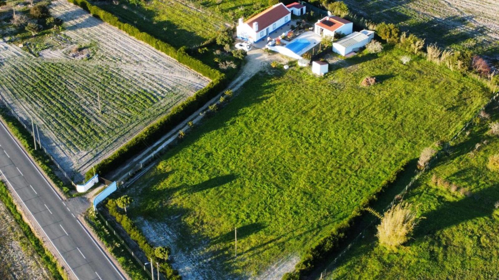 Monte da Palmeirinha