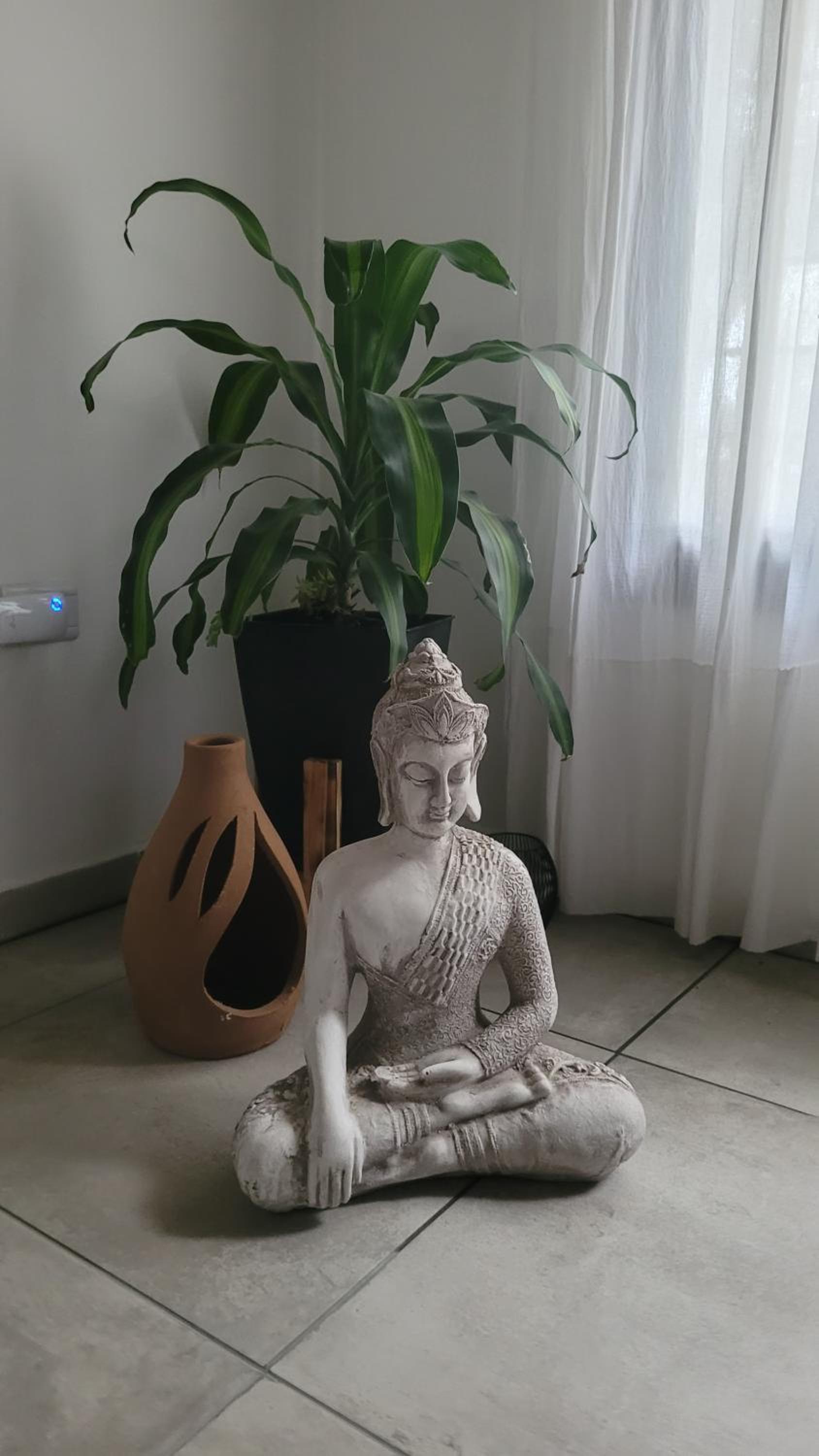 Casa Buda