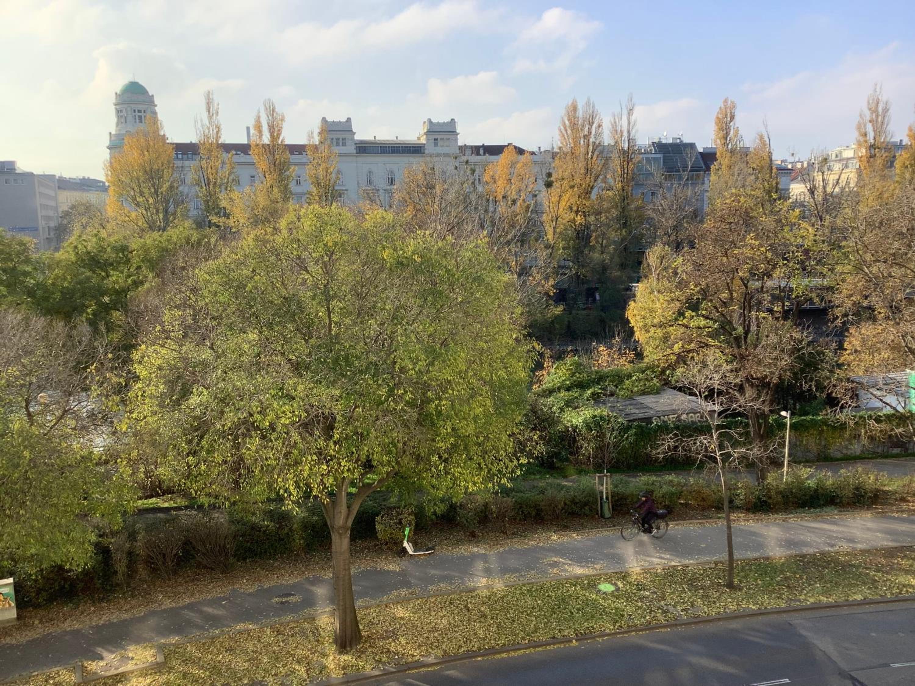 Family retreat on the Danube I 10 minute walk to city centre