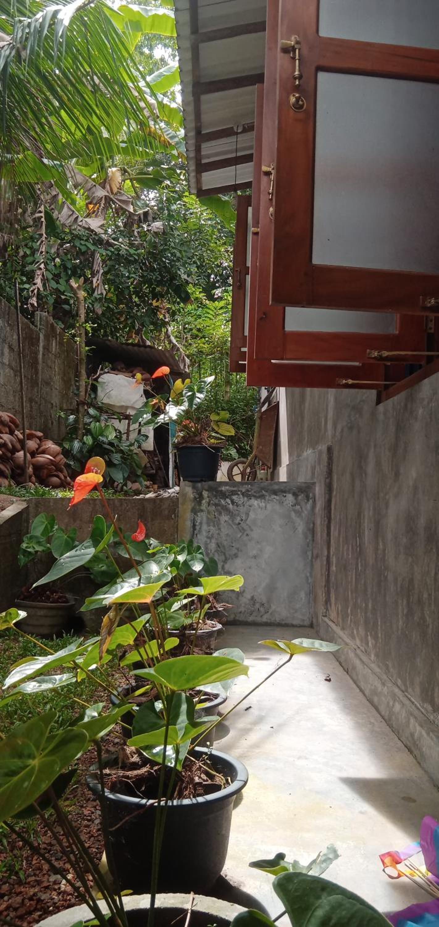 Step House