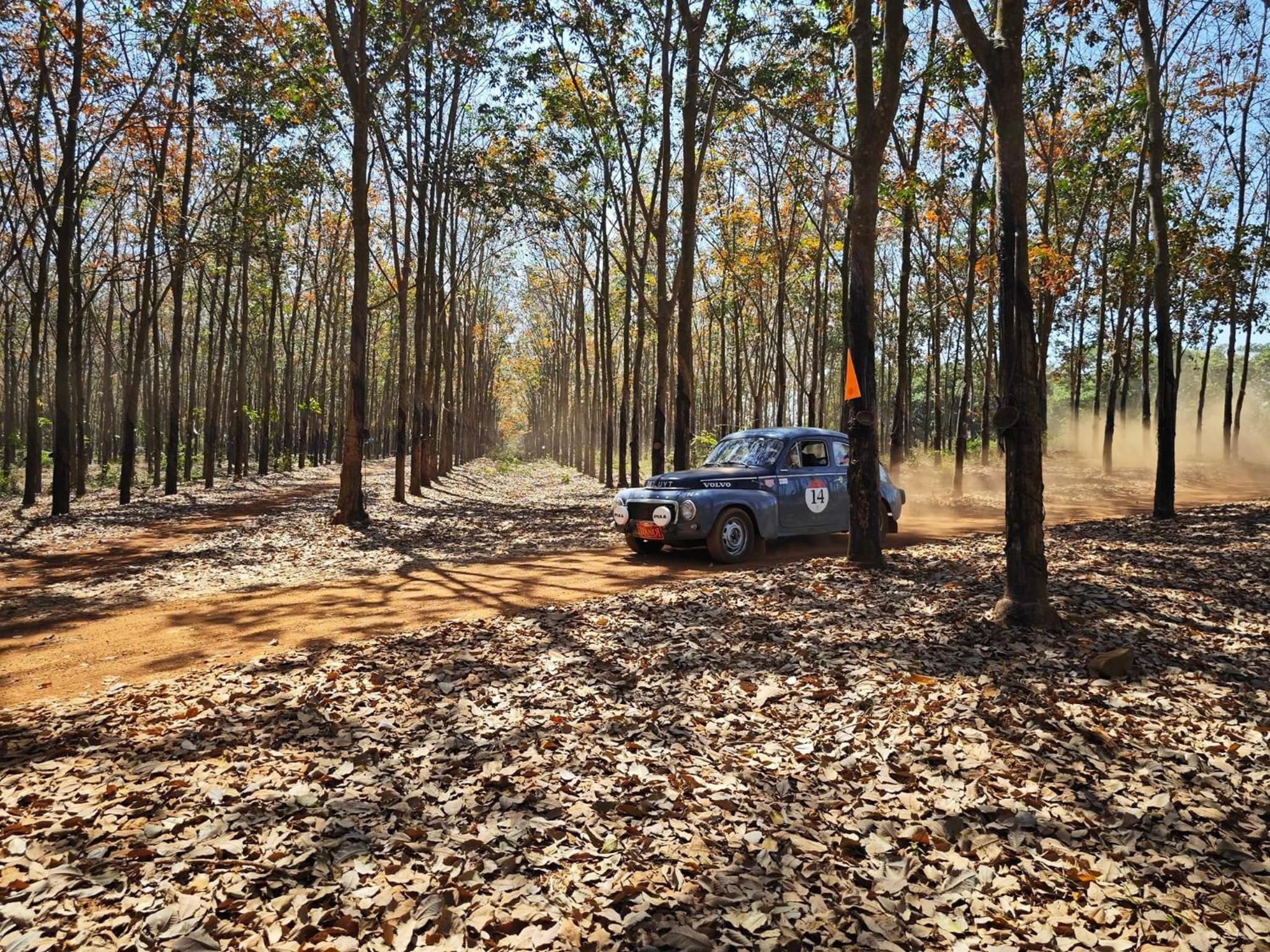 Panorama Glamping