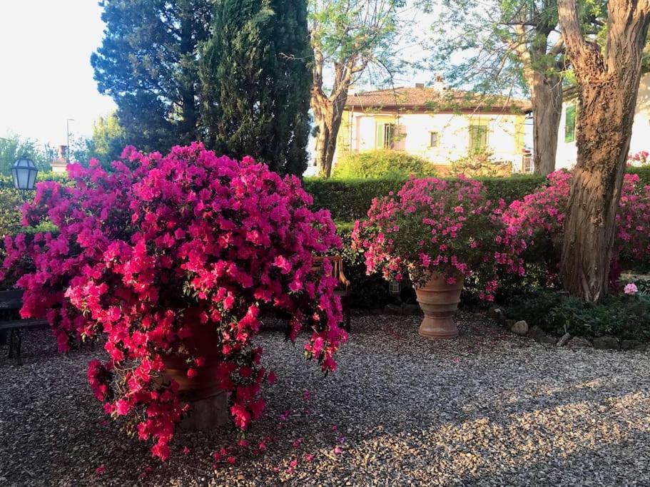 Appartamento in Torre di antica Villa