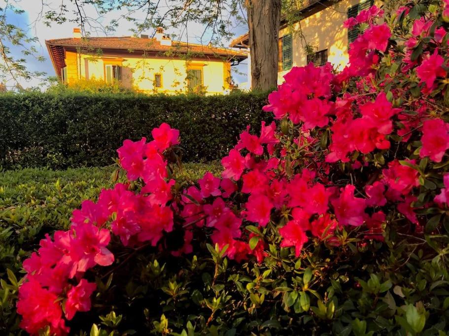 Appartamento in Torre di antica Villa