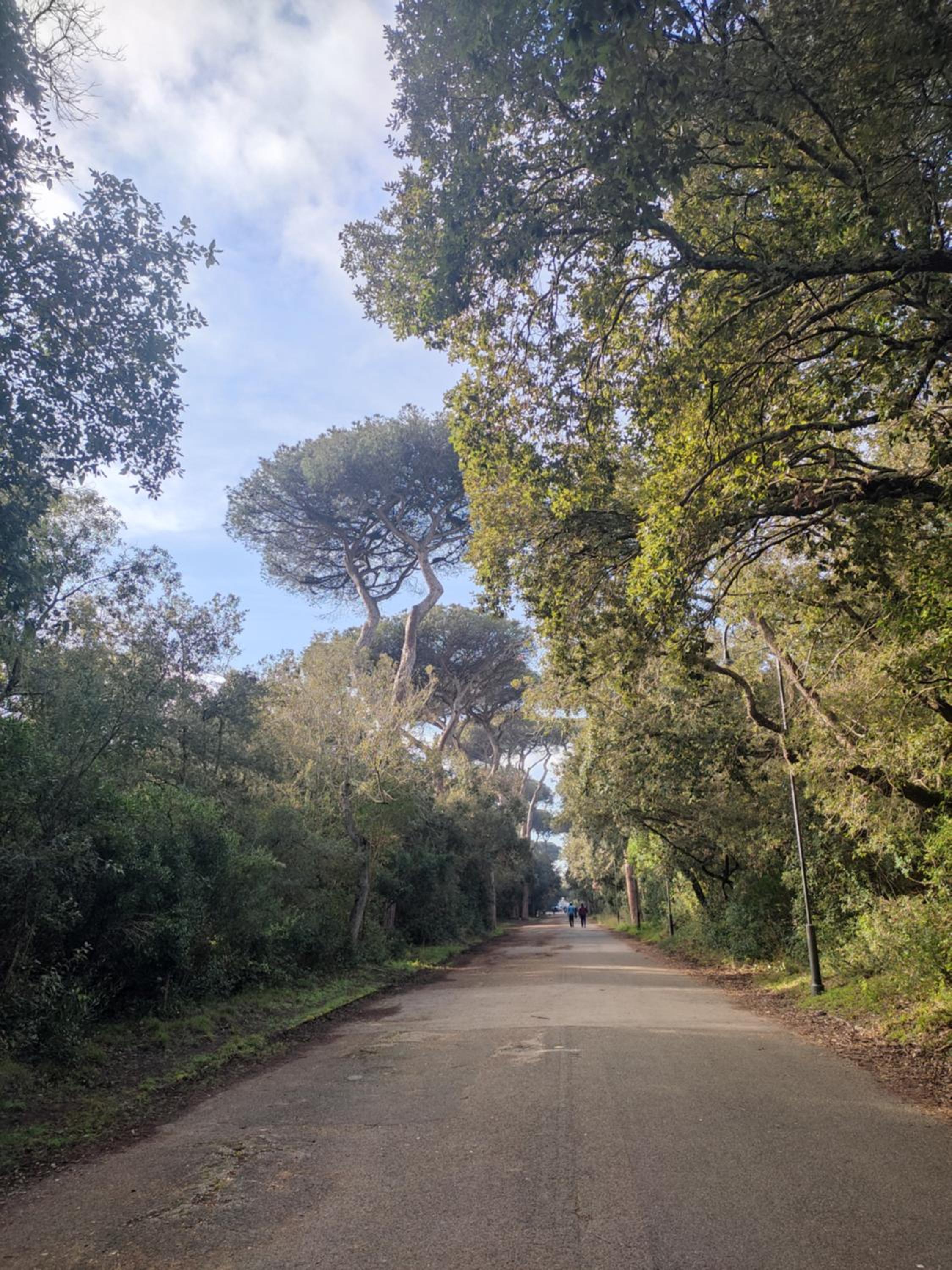 Appartamento Lungomare Toscanelli