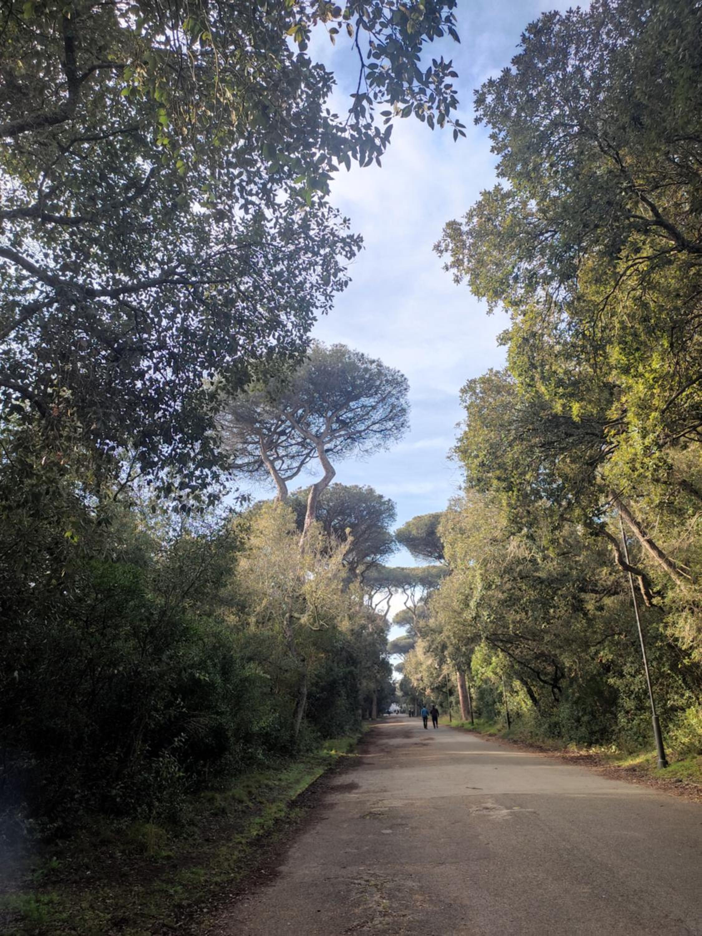 Appartamento Lungomare Toscanelli