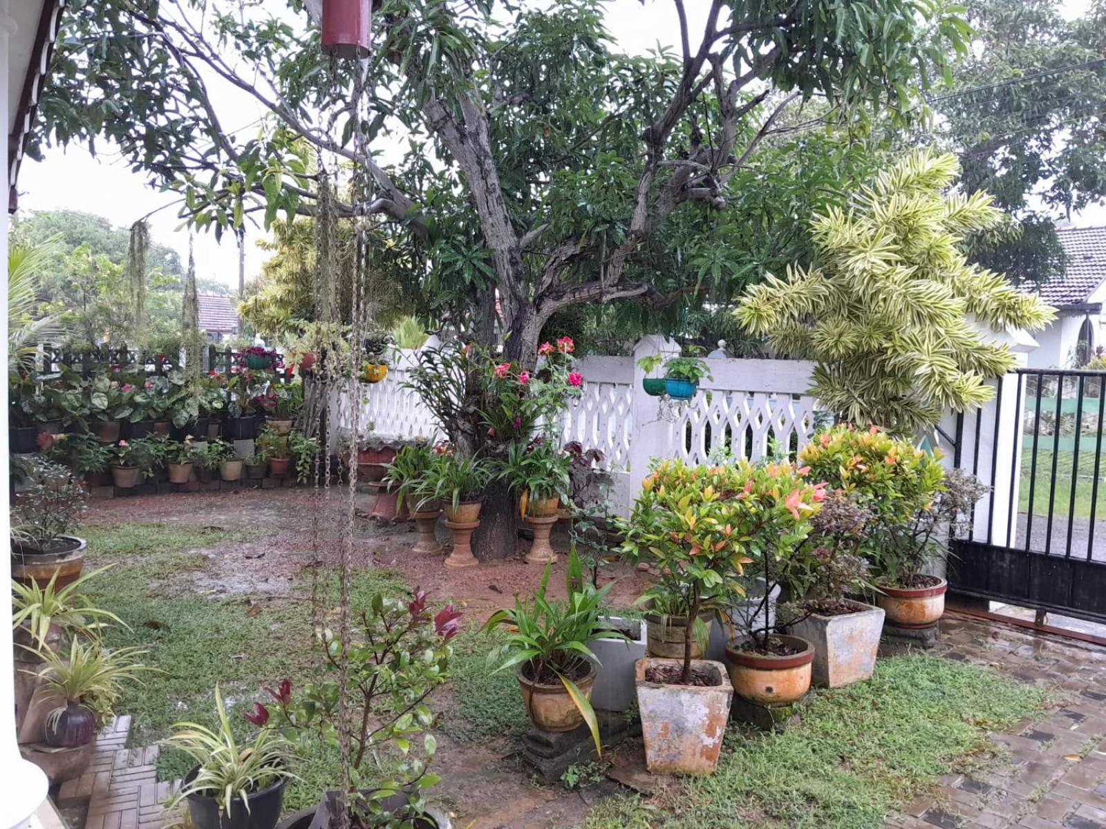 Ralph recedency