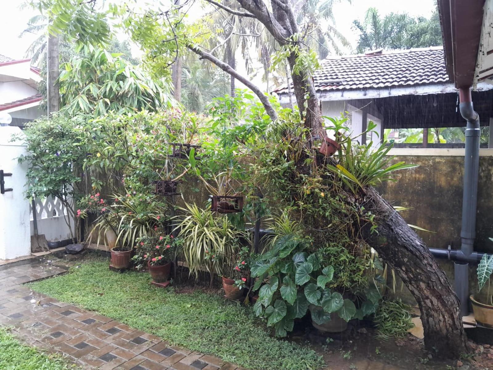 Ralph recedency