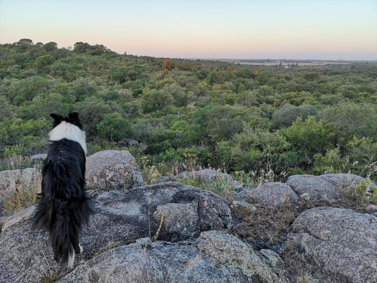Posta Calma inmerso en la naturaleza
