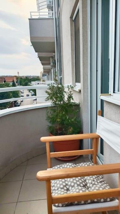 Apartmani Beograd - Light Oasis view 3