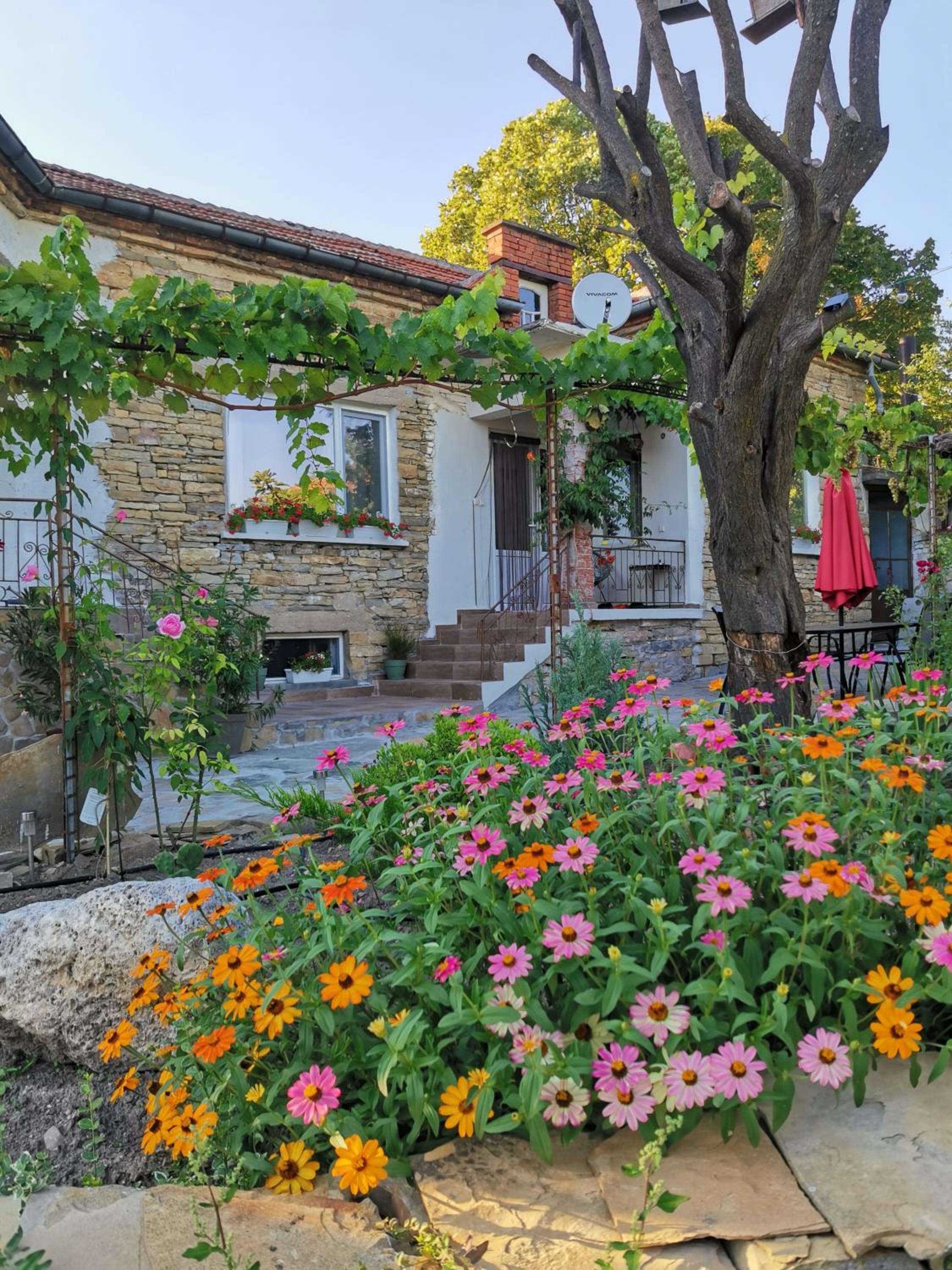 Villa Vin Santo