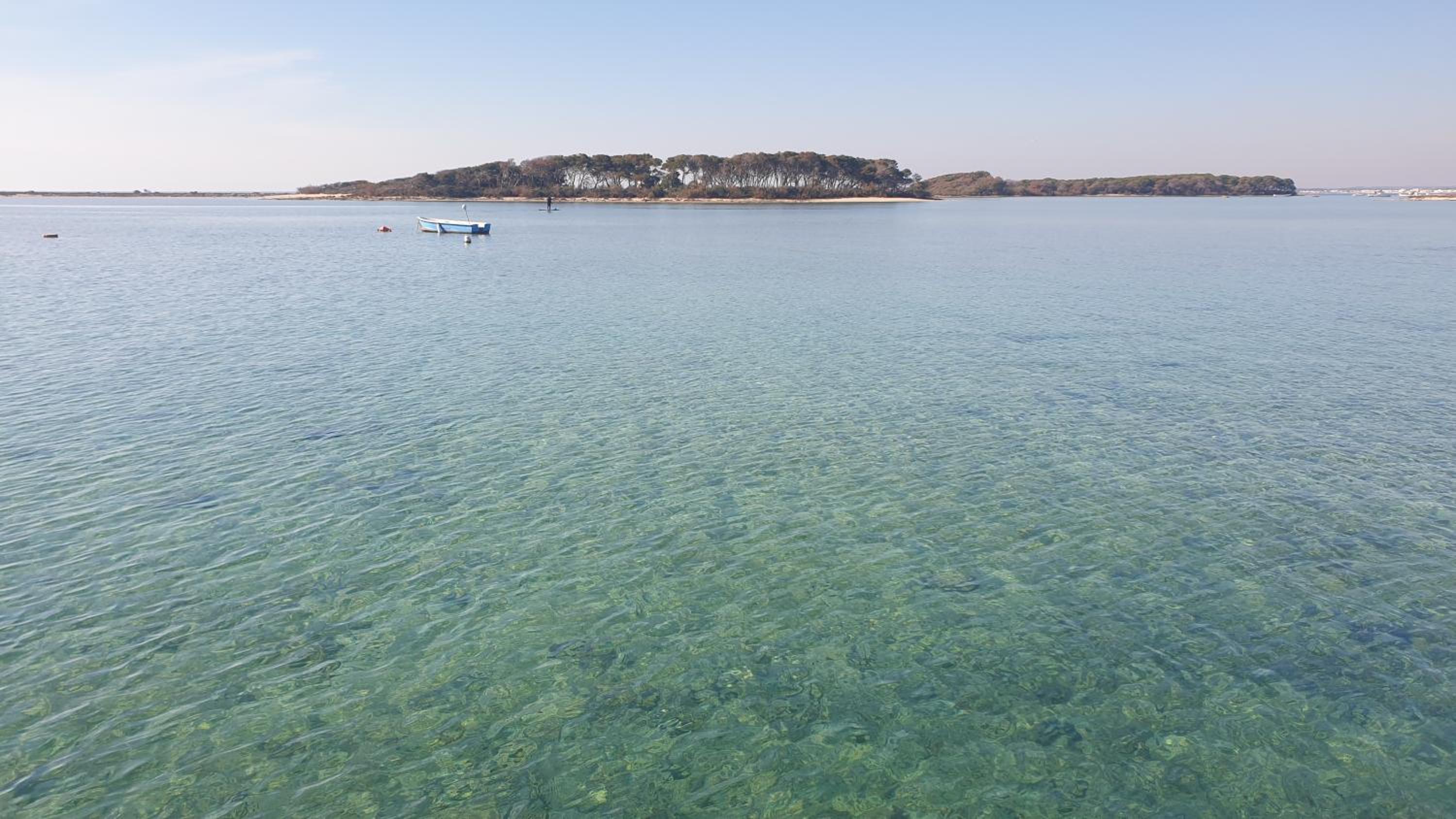 La Rustica Apartments photo 2