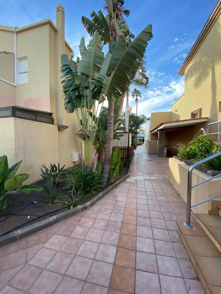 Canarian Green Oasis by luca properties gran canaria
