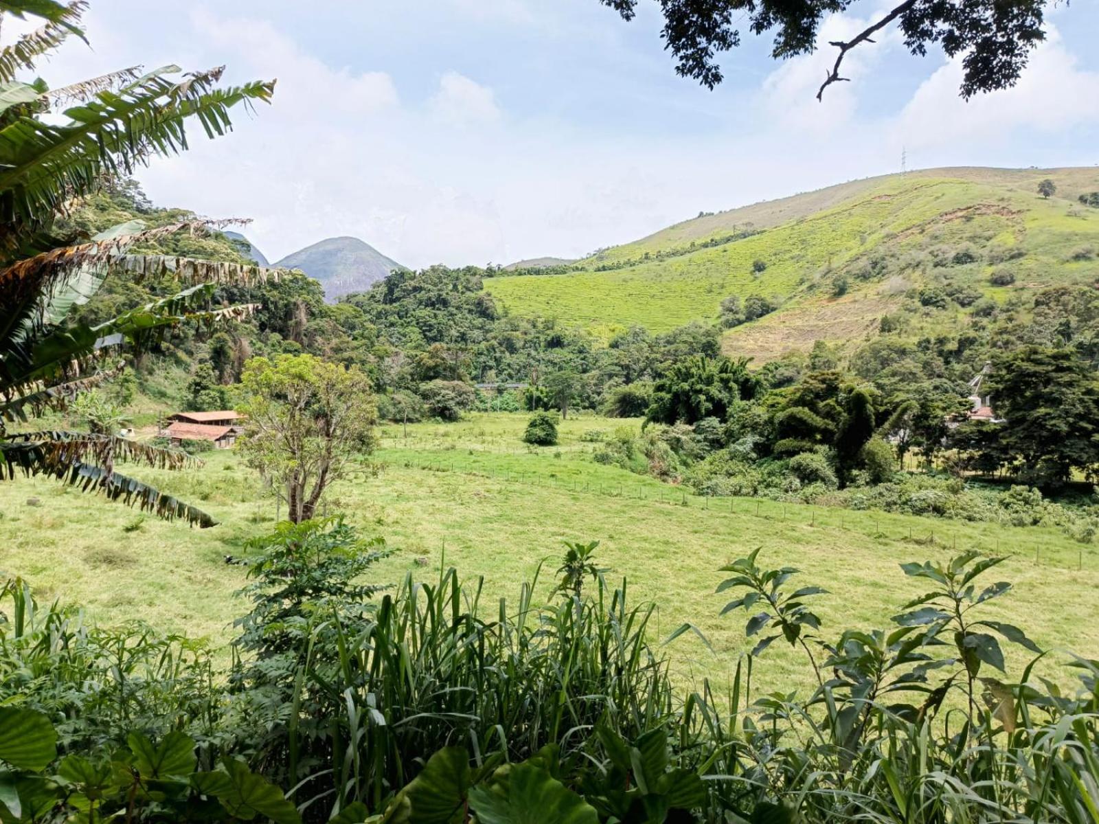 Fazenda Piloes