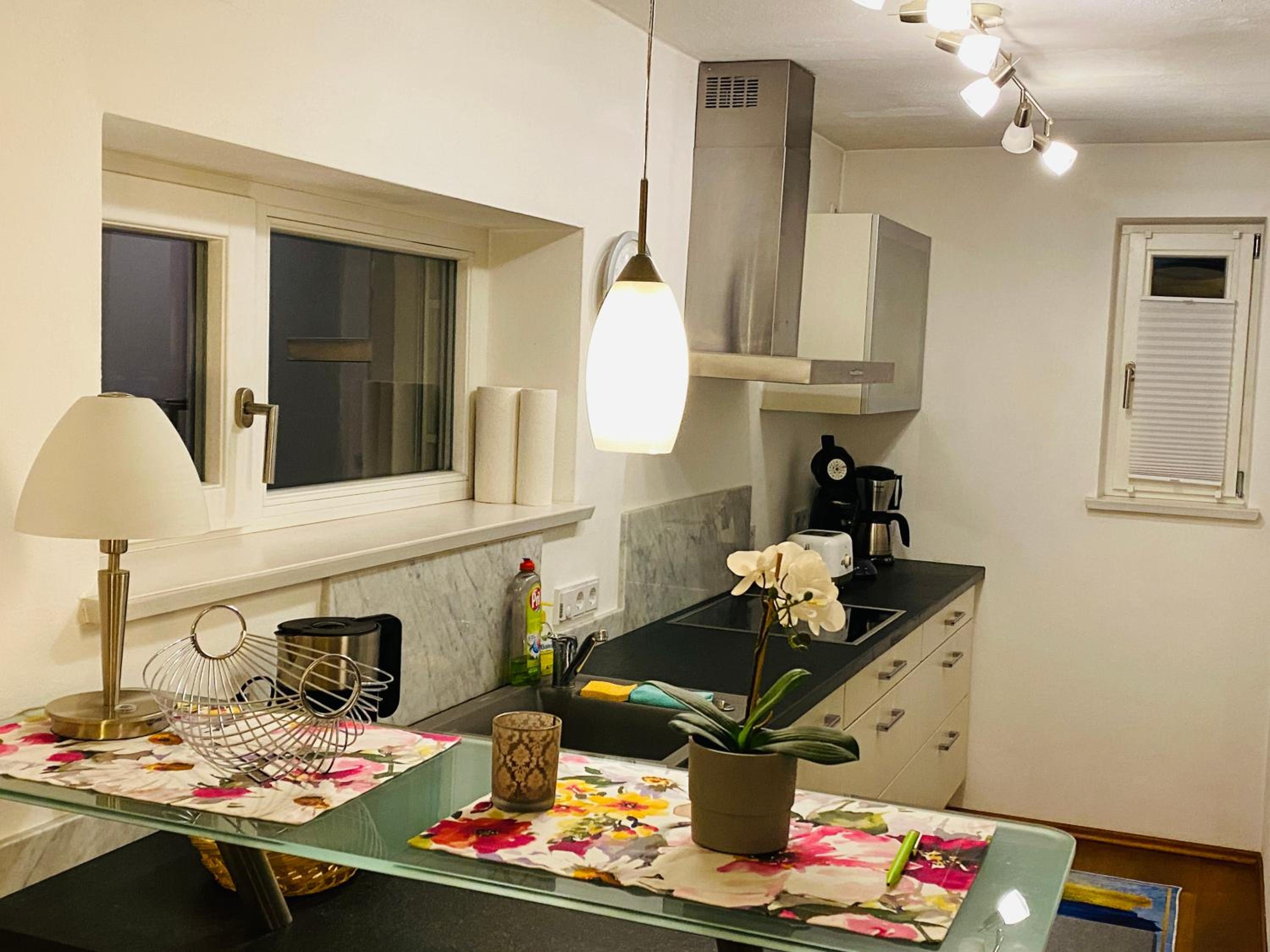 FeWo Luxus Wohnung im eigenen Ferienhaus, 120 qm, Nähe Regensburg mit Balkon, Terrasse & Garten, gute Zuganbindung