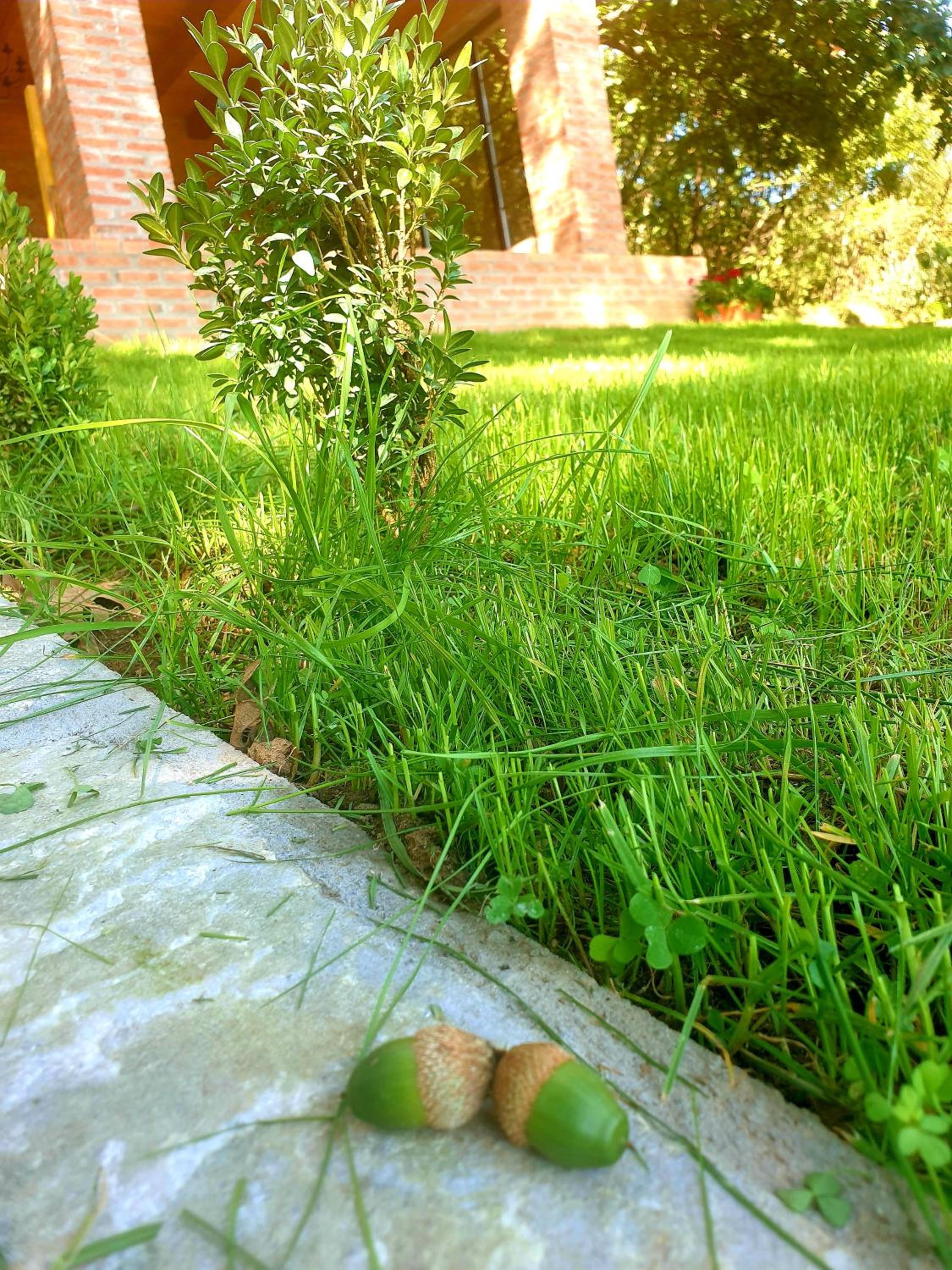 Photo 25