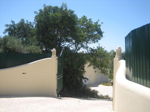 Photo 42