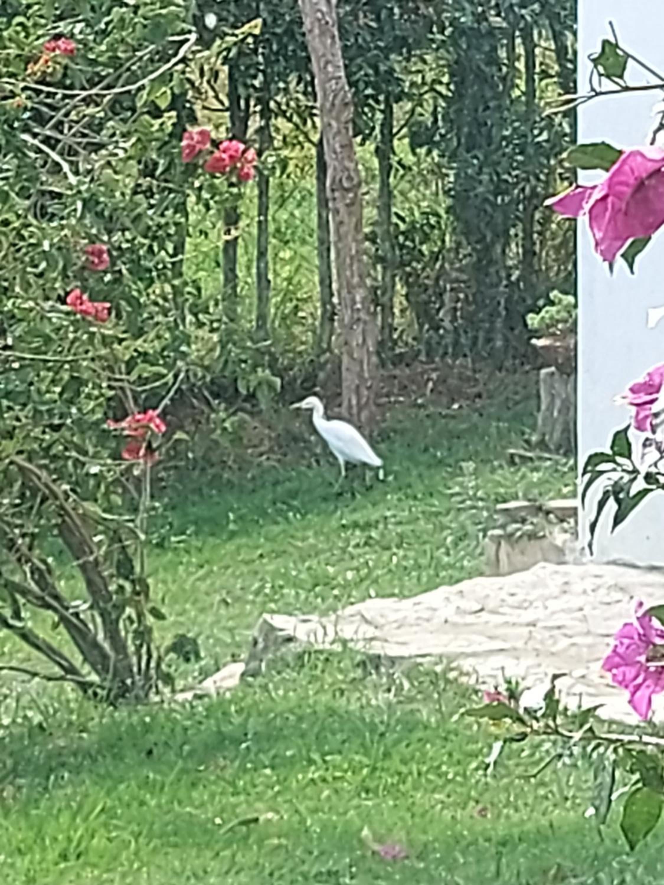 Naturaleza en armonia